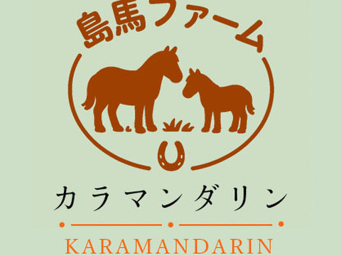 【飲み比べセット】カラマンダリン&伊予柑　果汁100%ストレートジュース 　720ml×4本セット