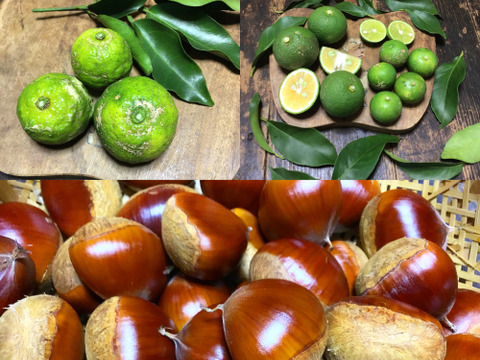 【農薬不使用】香酸系柑橘おまかせ1kg &栗500gセット