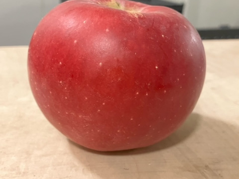 りんご アニーエリザベス (A品2㎏)