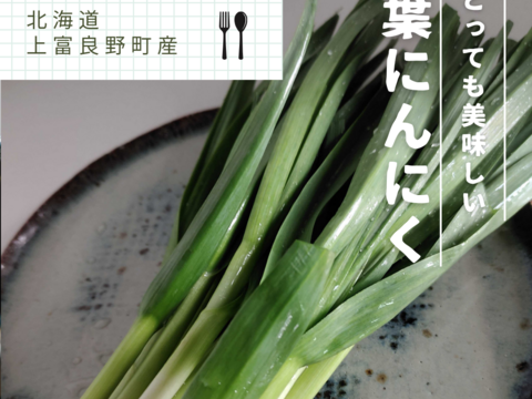 【予約販売】シャキシャキ甘ーい✨稀少な葉にんにく 北海道 上富良野町産