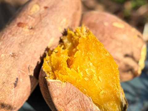 潮風 × 火山灰土が育てたねっとり甘い熟成島さつまいも『安納芋』４kg