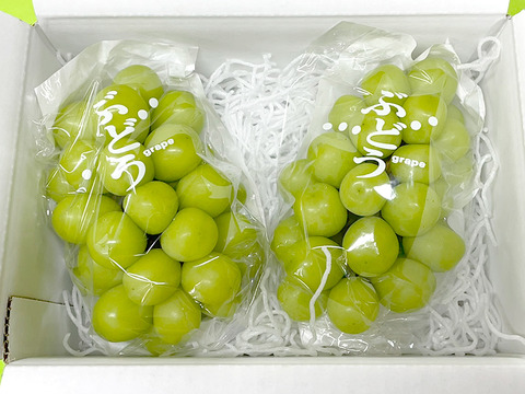 【夏ギフト】温室ハウス栽培　シャインマスカット（２房入）