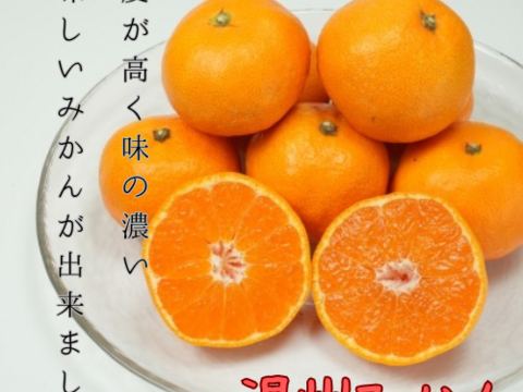 極上小玉みかん3kg