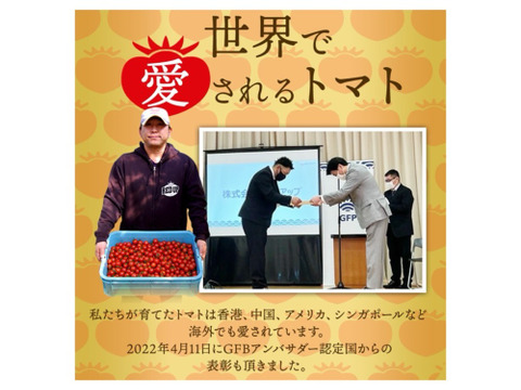【特別栽培農産物の取得】ソムリエミニトマト　プラチナ８ｋｇ