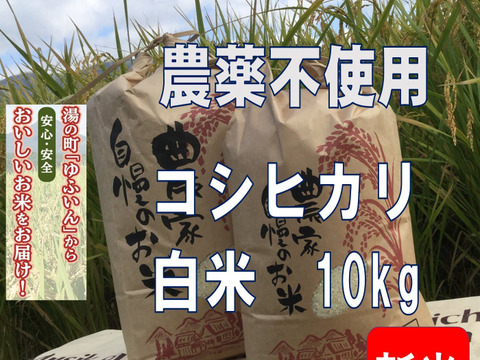 【令和6年新米】ゆふいんのめぐみ“コシヒカリ白米10kg”