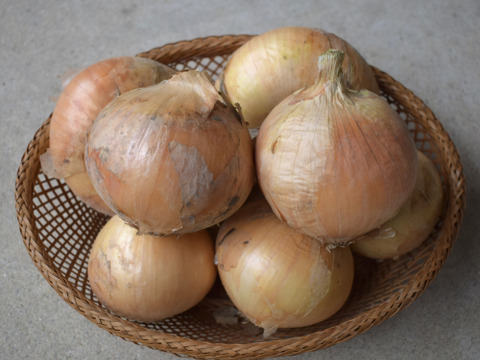 淡路島産🧅🥔セット✨約5kg
『玉ねぎ約4kg』と『新じゃがいも約1kg』📦✨