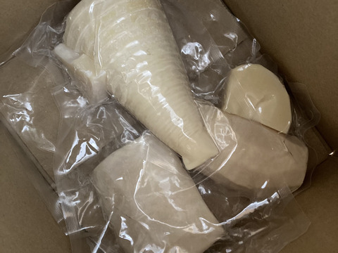 【2026年4月発送！予約受付中】朝掘りタケノコの水煮150g×3袋 【クール便】　筍　孟宗竹　タケノコ　たけのこ