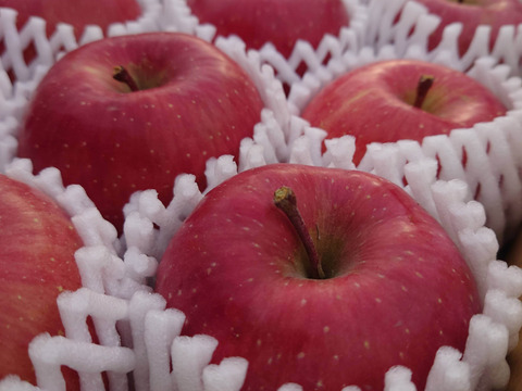 食味重視！「ふじ」3kg　秋田県産