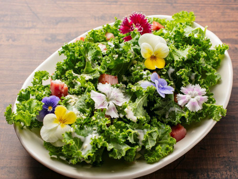 パリシャキな濃い味！王さまケールセット【1袋100～110g×4袋】