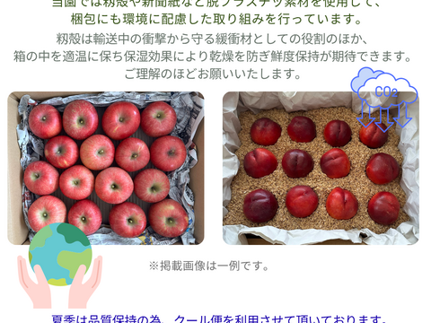 44 信州産　早生ワッサー家庭用3キロ2箱 生産農家直送 早生ワッサー ご家庭用 3kg 長野県産 化学肥料不