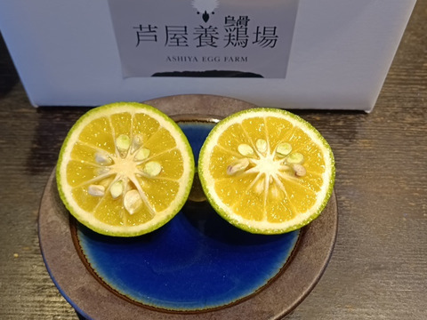 《農薬不使用》兵庫県芦屋産 香り高い完熟『黄かぼす』（約９００g箱込み）
烏骨鶏の鶏糞で育った自然の恵み／芦屋養鶏場（あしやエッグファーム）よりお届け　【期間限定販売】【冬ギフト】