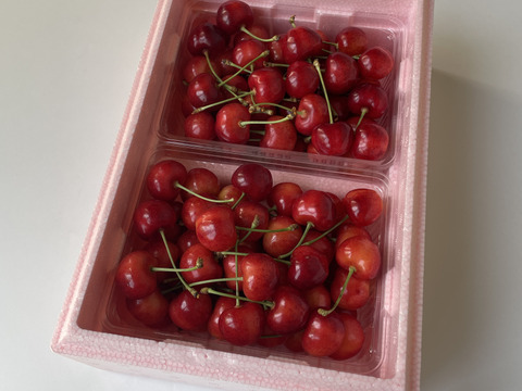 やまがた紅王】🍒700グラム🍒【2Lサイズ以上】【さくらんぼ