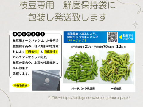 【✨初出店記念✨】　本場！山形県鶴岡市白山だだちゃ豆　濃厚な甘さ！5㎏