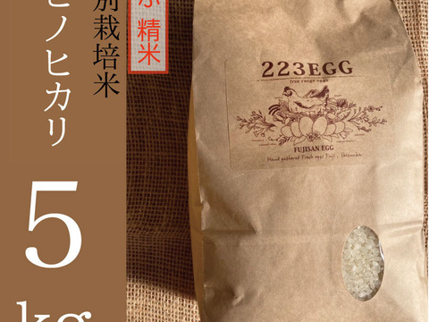 ＜5ぶ 精米＞特別栽培米「ヒノヒカリ」[ 5㎏ ]【令和5年米】