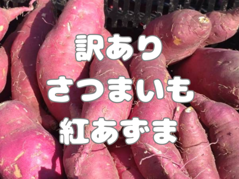 訳ありさつまいも紅あずま（20kg）