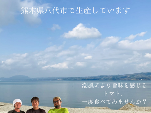 コクと旨味がたっぷり！熊本県八代産ミニトマト『むぞらしか』１kg