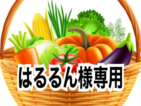 はるるん様専用