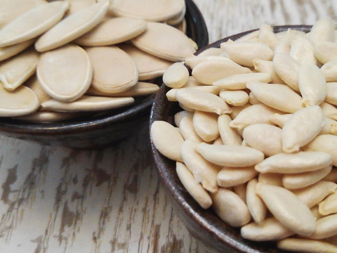 ＜うんまい！＞とうがん【１.５ｋｇ】