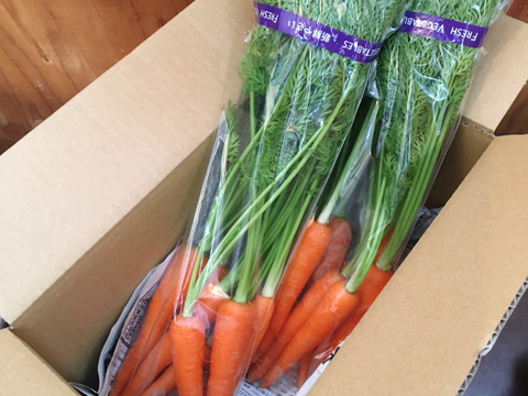 葉っぱもおいしい葉つきベビーキャロット 1kg 野菜スティックにおすすめ 農薬 化学肥料不使用 泥なし 埼玉県産 食べチョク 農家 漁師の産直ネット通販 旬の食材を生産者直送 葉っぱもおいしい葉つきベビーキャロット 1kg 野菜スティックにおすすめ 農薬 化学肥料不使用 泥なし 埼玉県産 食べチョク 農家 漁師の産直ネット通販 旬の食材を生産者直送