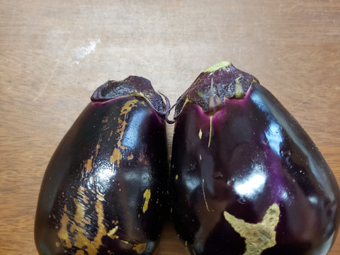 今の時期だけ！！泉州産水なす【わけあり】