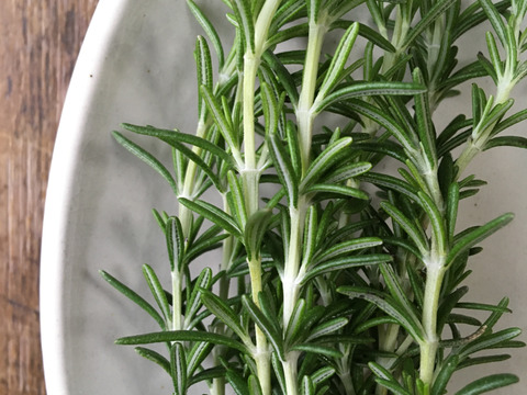 【手作りで楽しい！】３種のハーブを使った自家製ガーリックハーブオイルセット