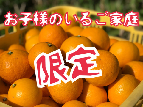 《小粒優先！》【Beni NEW SUMMER ORANGE】mini 約4.5kg 紅ニューサマーオレンジミニ