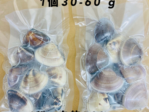 液体冷凍はまぐり　1個30-60 g（中小）　   約500g×8パック