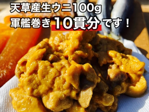 ＼今年も販売開始／【天然生雲丹】人気の「天草産白ウニ（100ｇ）」甘みと旨味の宝庫！無添加生うに【熊本直送】冬ギフトに【1月末で販売終了】