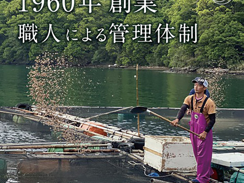 【Firesh®︎】リピーター続出‼︎真鯛の西京漬け（2切×1パック）組み合わせ自由！【単品商品】