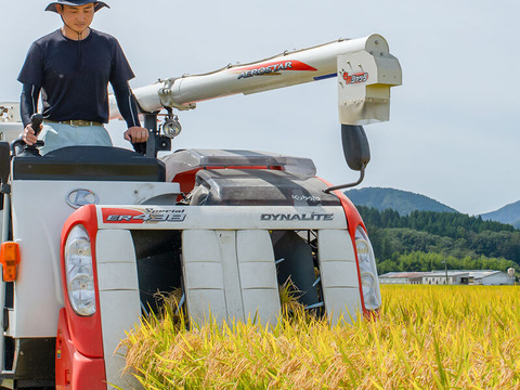 【蔵出し特価】冷めても旨い！おにぎり・お弁当専用「熟成はえぬき」10kg（5kg×2）山形県産