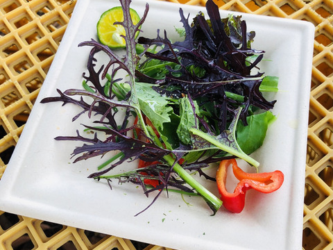 【東京  自由ヶ丘で販売】塩とお酢  オリーブオイルだけで美味しい健康サラダセット  2袋