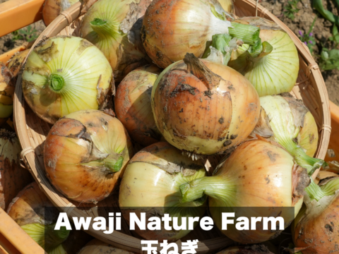 【淡玉5kg】甘くてみずみずしい！淡路島の恵みと手間ひまが詰まった新玉ねぎ