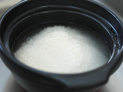 2024年 新潟県保内産コシヒカリ1等 4.8kg