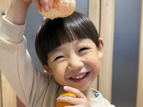 和歌山県産　完熟ゆら早生　(10kg)