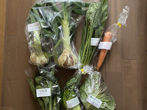 淡路島より旬をお届け】お任せ野菜セットSサイズ：兵庫県産の