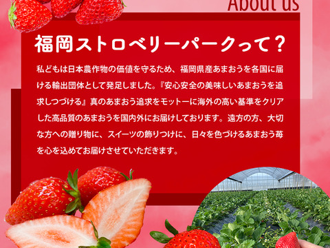 【期間限定!!お得品】あまおうたっぷり4パック　～福岡ストロベリーパーク～