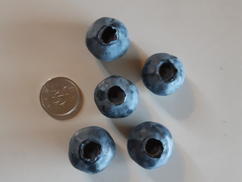 即決　フレッシュ ブルーベリー500g+200g