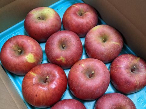 ゆっくり完熟！ 少し訳あり葉とらずサンフジ3キロ自家用