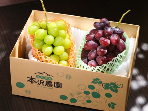 【夏ギフト】温室栽培シャインマスカット【長野県産】500g 1房　のし対応可