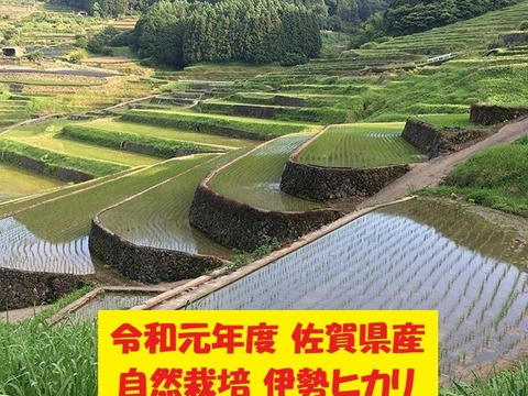 【令和元年新米】無農薬!自然栽培!佐賀県産!「伊勢ヒカリ」玄米15kg