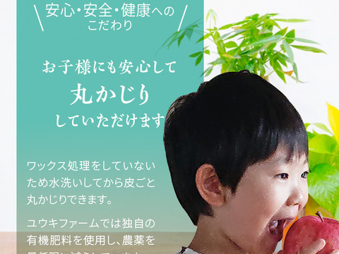 青森県産りんご 【大人気】【代々受け継がれた選びに選び抜いた極みの味】大きめサイズプレミアム蜜入り葉とらずさんふじ5Kg糖度13度以上