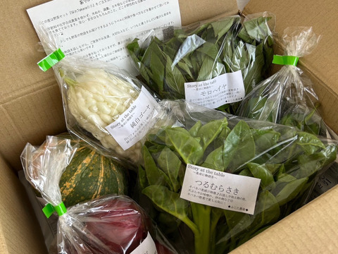 ☆初回お試しセット【美味しい野菜をお届けします】 季節の野菜セット