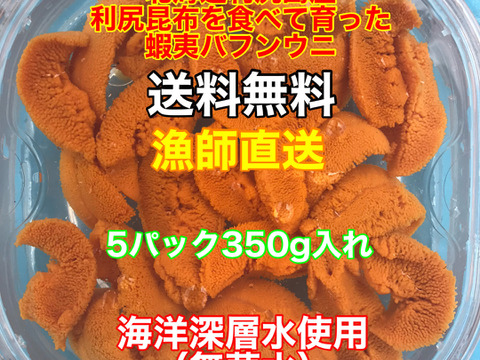 （実質送料無料）蝦夷バフンウニ（北海道利尻島産）5パック 350g