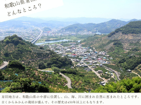 【冬ギフト】農家直送！有田みかん5kg≪2Sサイズ（小玉）秀品≫【平武農園】～蛍飛ぶ町から旬の便り～　和歌山｜有田｜田口｜ギフト｜こだわり　産地直送　お取り寄せ