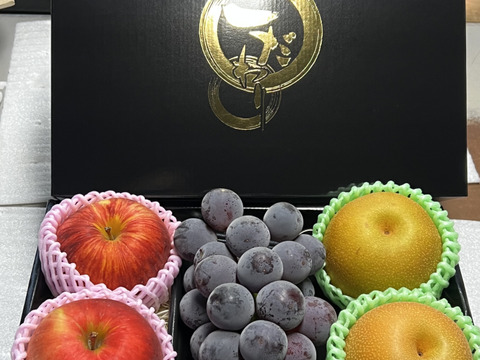 【旬のフルーツセットギフト用】りんご 梨 巨峰 大満足 秋の味覚 フルーツ 果物 ゴルフコンペ プレゼント 誕生日 シャインマスカット