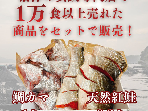 【紅鮭 切り身 約0.8キロ】＆【沼津 鯛 カマ 約1キロ】 セット 合計1.8kg