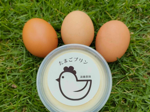 【ギフトにおすすめ】平飼い有精卵を使用 優しい味わい 『たまごプリン9個セット』 農園手作り