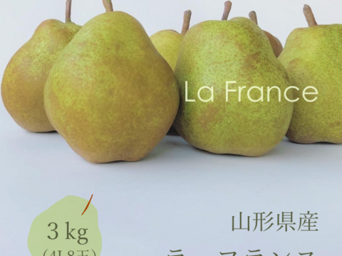 洋梨「ラ・フランス」3kg 4L