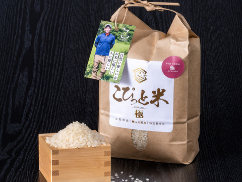 きわだつ大粒！特別栽培米【極】白米・2kg　こぴっと米
