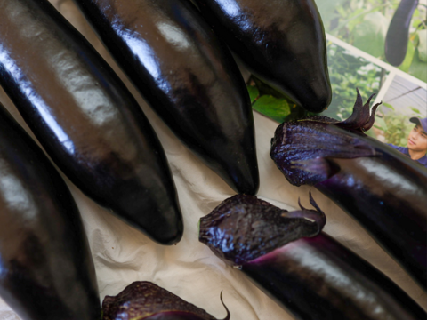 【金の土】大人気！熊本産ナス(5kg)【A品】《篤壌シリーズ》